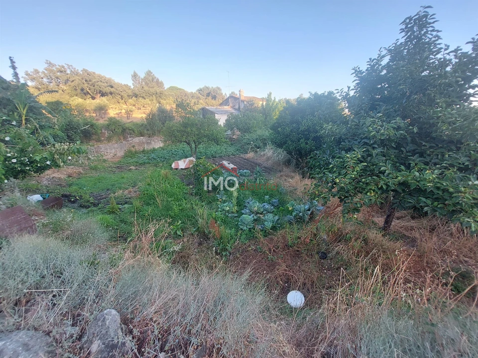 Quinta T3 para Venda em Sé e São Lourenço Foto 14