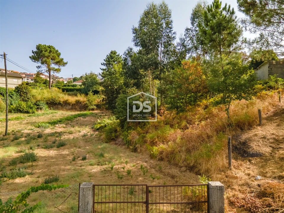 Terreno para Venda em Mancelos Foto 7