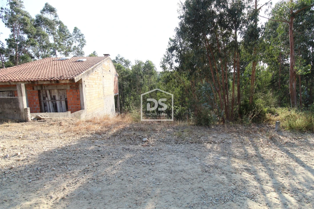 Terreno para Venda em Lagares e Figueira Foto 3