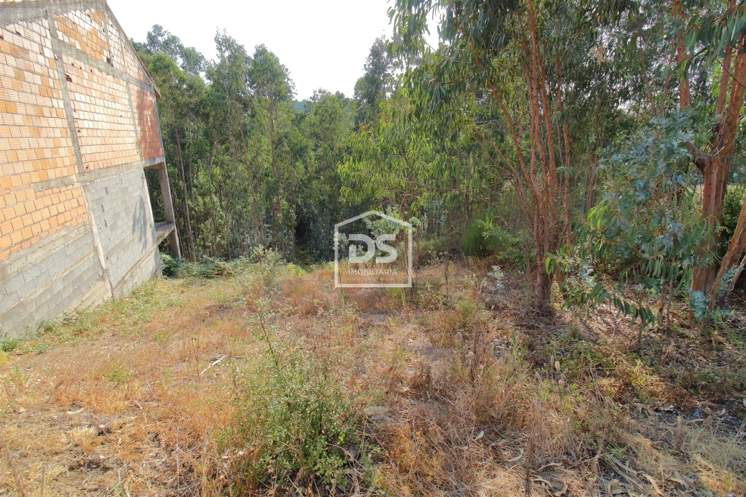 Terreno para Venda em Lagares e Figueira Foto 5