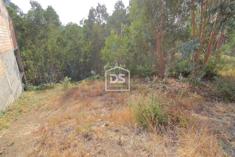 Terreno para Venda em Lagares e Figueira Foto 6