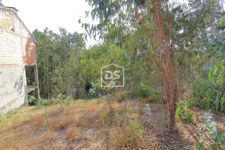 Terreno para Venda em Lagares e Figueira Foto 9