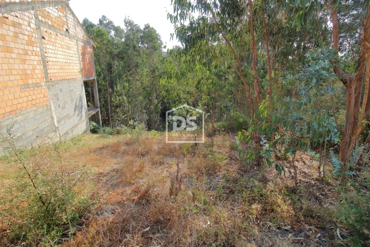 Terreno para Venda em Lagares e Figueira Foto 4