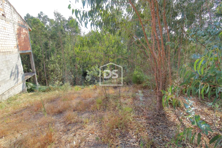 Terreno para Venda em Lagares e Figueira Foto 8