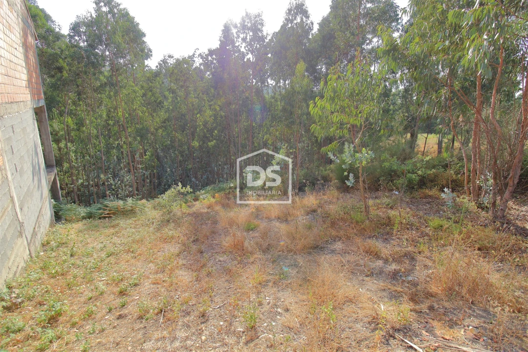 Terreno para Venda em Lagares e Figueira Foto 7