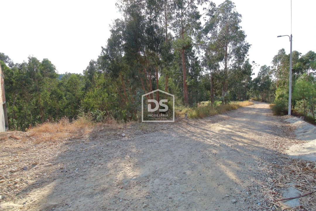 Terreno para Venda em Lagares e Figueira Foto 1
