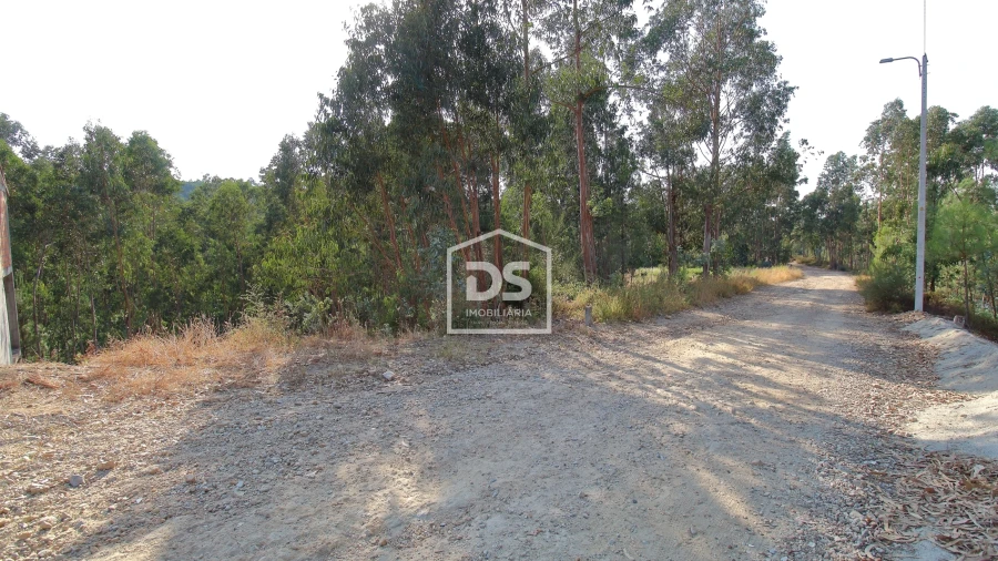 Terreno para Venda em Lagares e Figueira