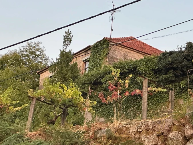 Moradia T2 para Venda em Parada do Monte e Cubalhão Foto 4