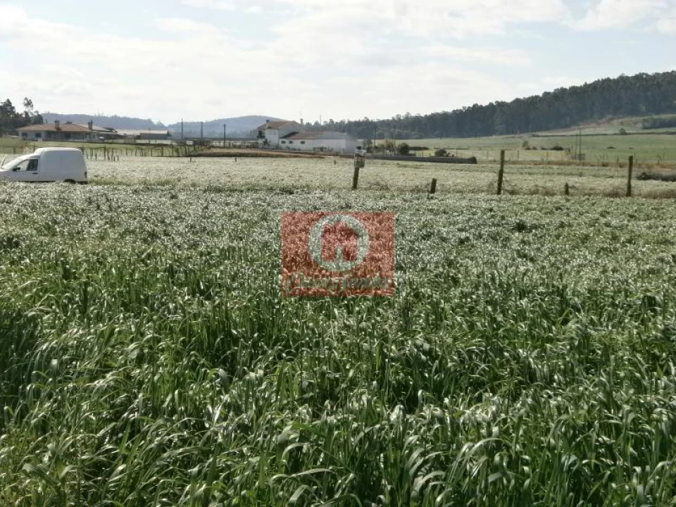Terreno Agricola ou Rústico para Venda em Rates Foto 2