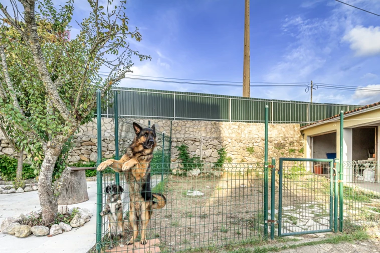 Moradia T5 para Venda em Algueirão-Mem Martins Foto 28