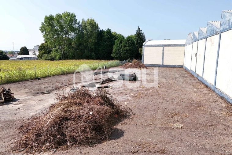 Terreno para Venda em Esmoriz Foto 5