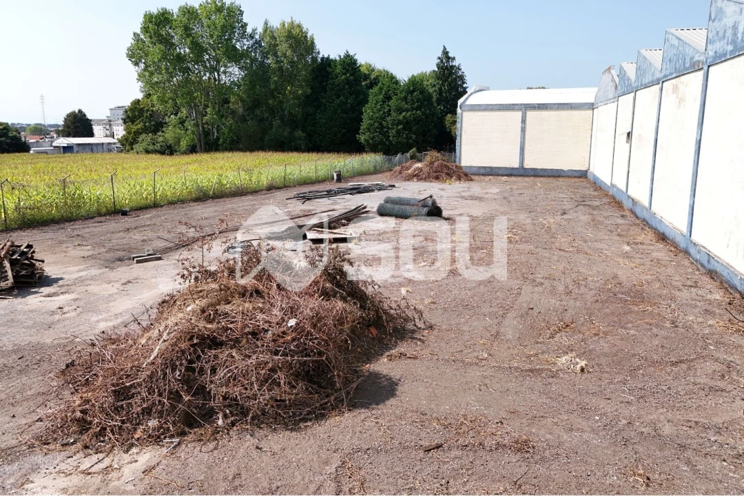 Terreno para Venda em Esmoriz Foto 7