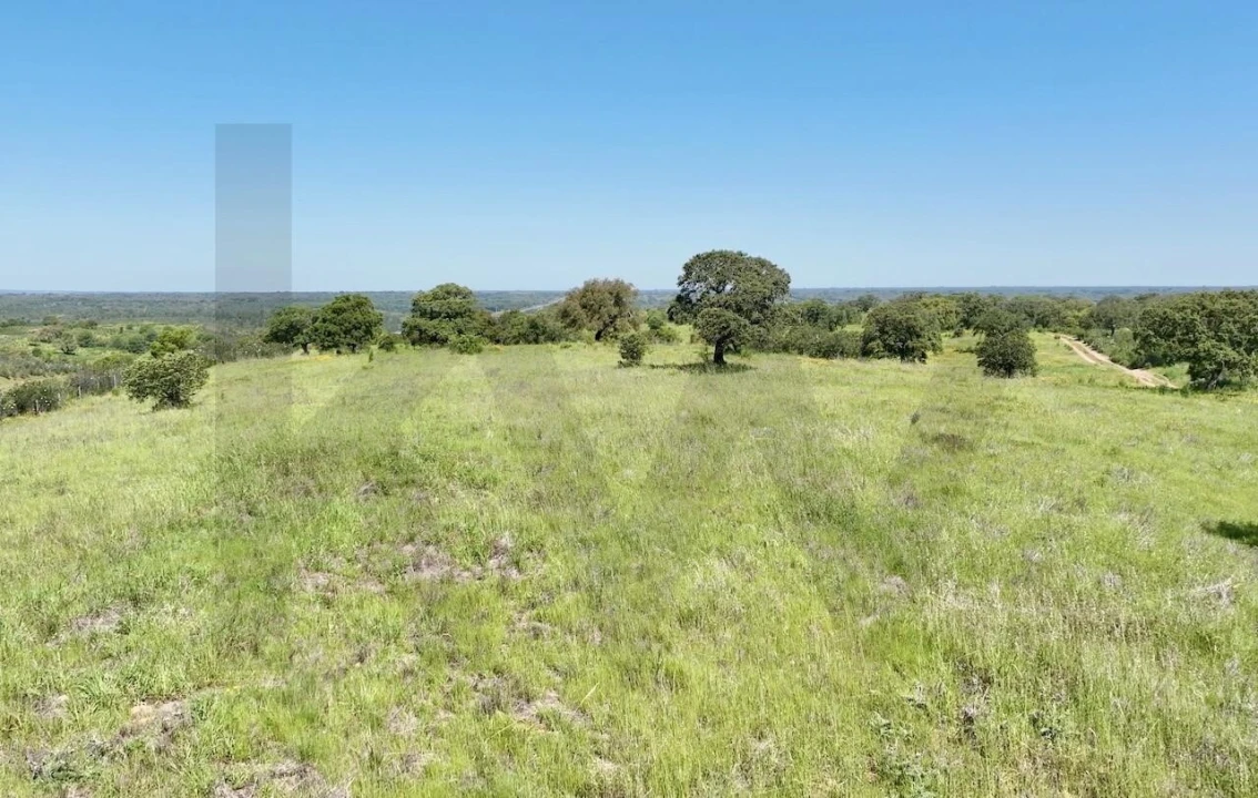 Terreno para Venda em Figueira dos Cavaleiros Foto 2