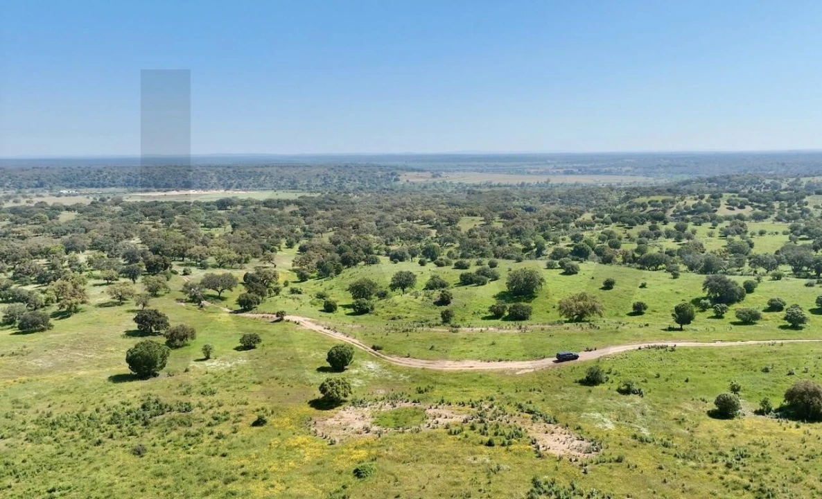 Terreno para Venda em Figueira dos Cavaleiros Foto 3