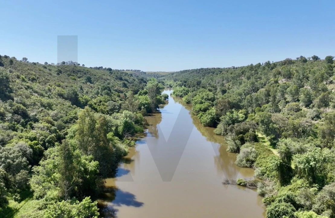 Terreno para Venda em Figueira dos Cavaleiros Foto 9