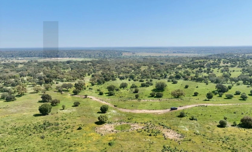 Terreno para Venda em Figueira dos Cavaleiros Foto 3