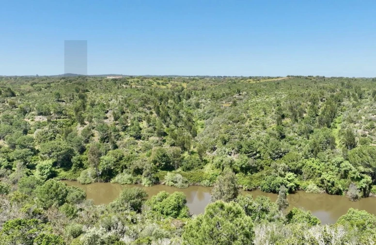 Terreno para Venda em Figueira dos Cavaleiros Foto 11