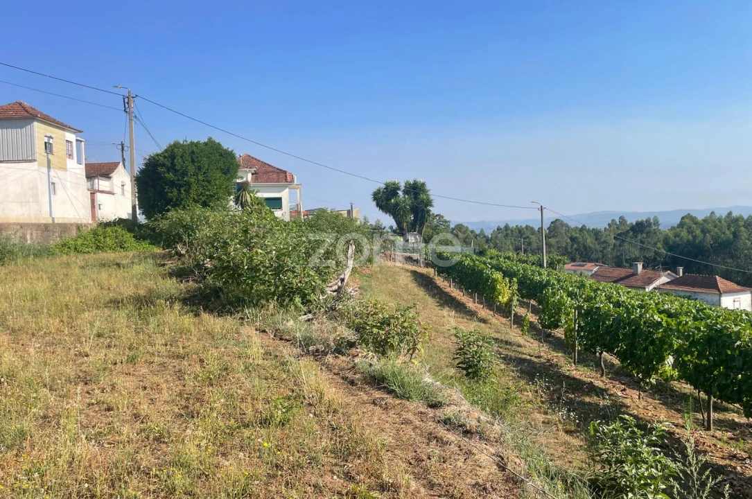 Terreno para Venda em Lamelas e Guimarei Foto 5