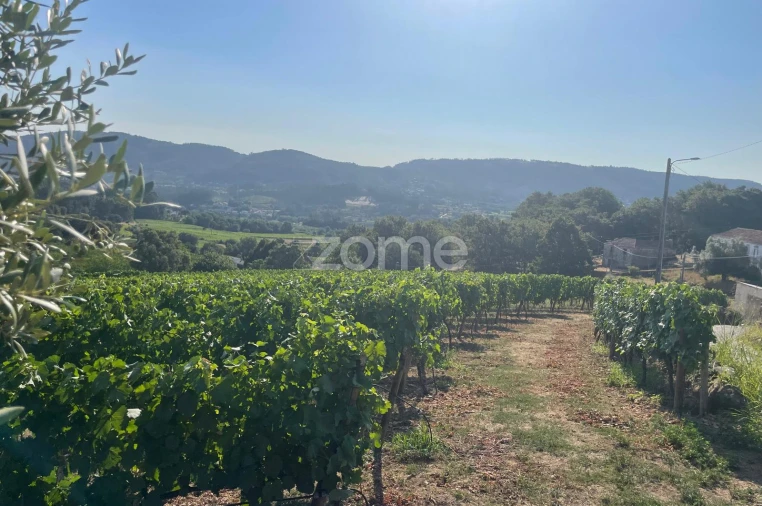 Terreno para Venda em Lamelas e Guimarei Foto 6