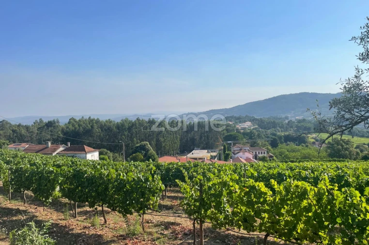 Terreno para Venda em Lamelas e Guimarei Foto 7