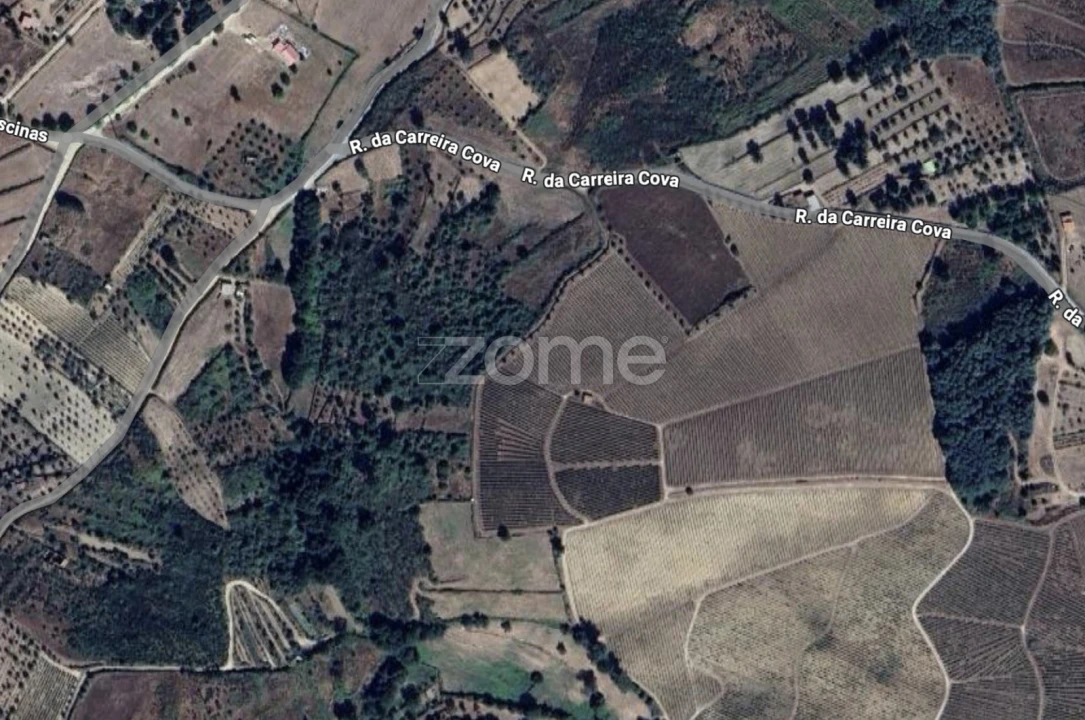 Terreno para Venda em São Paio Foto 1