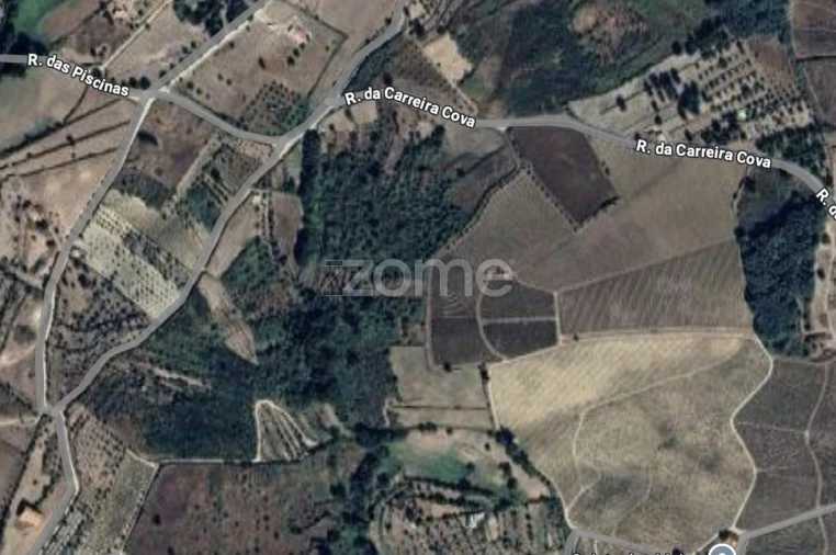 Terreno para Venda em São Paio Foto 3