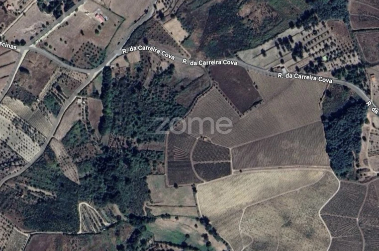 Terreno para Venda em São Paio Foto 1