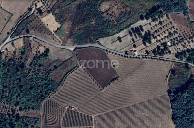 Terreno para Venda em Gouveia (São Pedro e São Julião) Foto 3