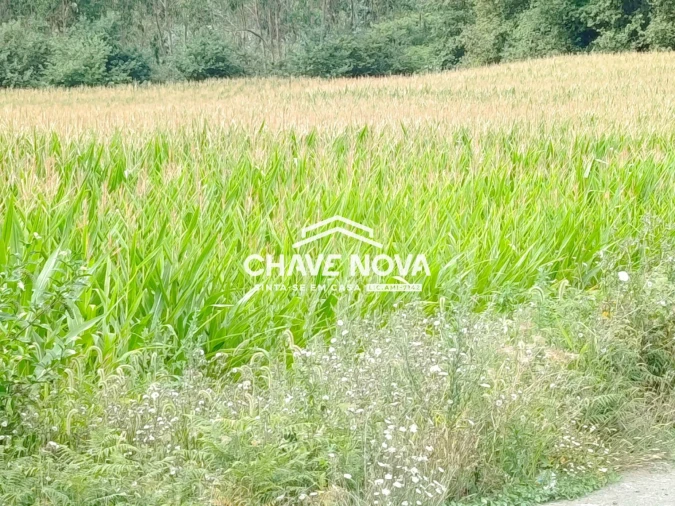 Terreno P/ Prédio para Venda em Santa Maria da Feira, Travanca, Sanfins e Espargo Foto 1