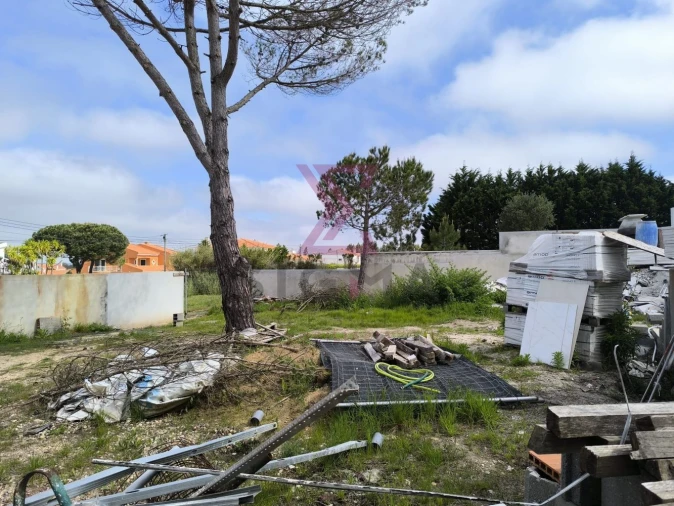 Moradia T3 para Venda em Nadadouro Foto 7