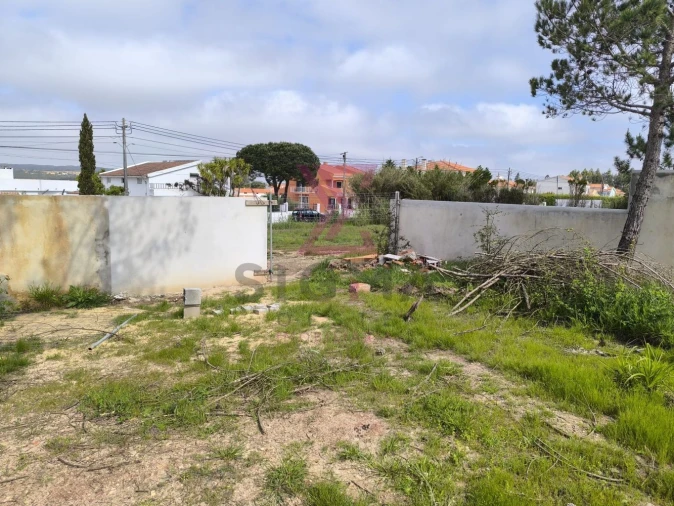 Moradia T3 para Venda em Nadadouro Foto 28