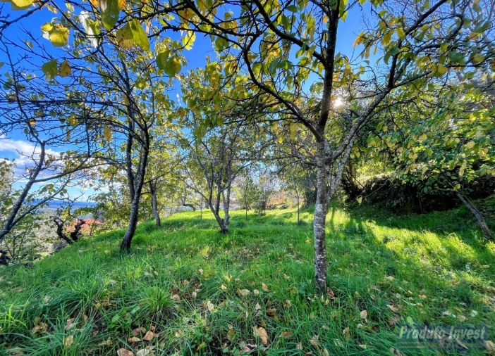 Moradia T2 para Venda em Alpedrinha Foto 19