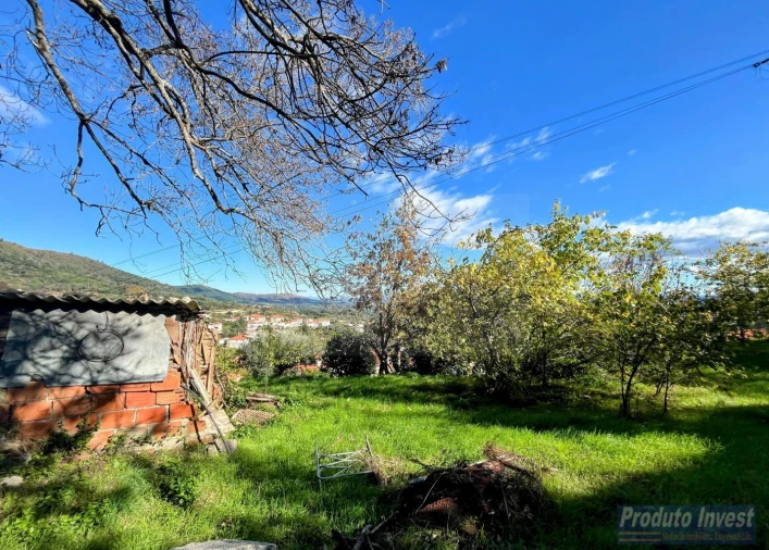 Moradia T2 para Venda em Alpedrinha Foto 18