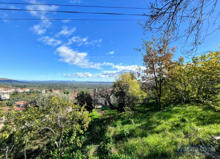 Moradia T2 para Venda em Alpedrinha Foto 17