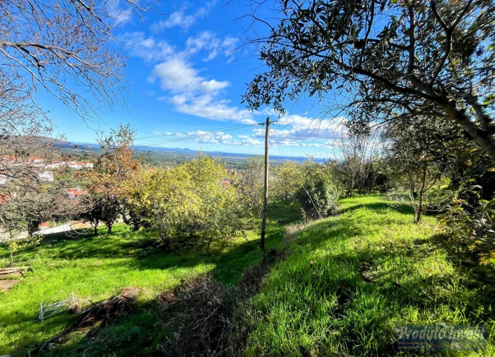 Moradia T2 para Venda em Alpedrinha Foto 20