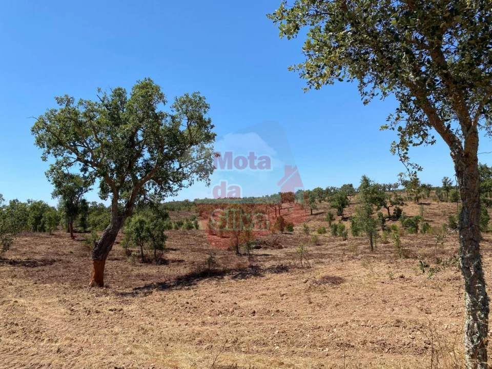 Quinta T0 para Venda em Abela Foto 19