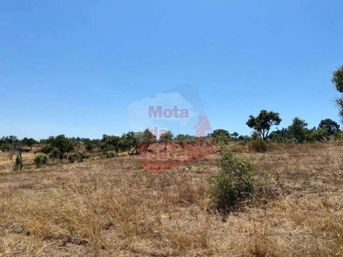 Quinta T0 para Venda em Abela Foto 11