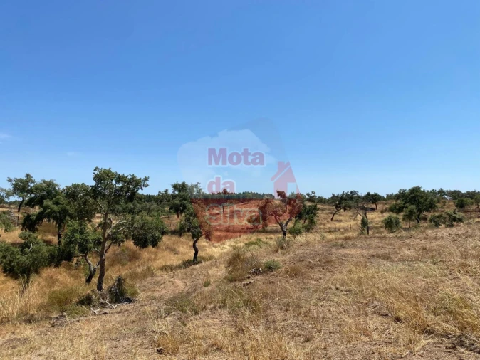 Quinta T0 para Venda em Abela Foto 12