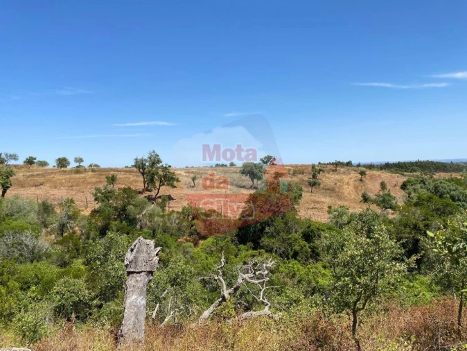 Quinta T0 para Venda em Abela Foto 8