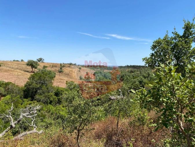 Quinta T0 para Venda em Abela Foto 7