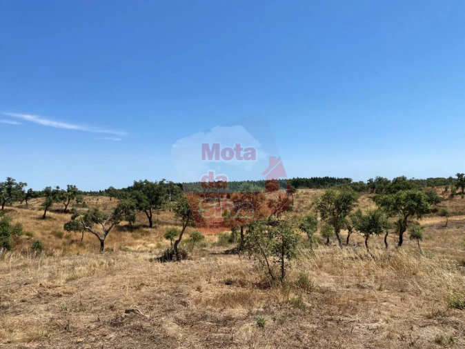 Quinta T0 para Venda em Abela Foto 6