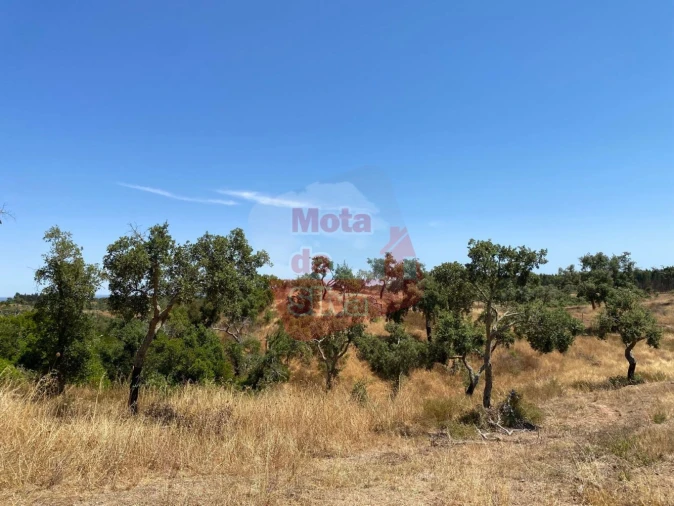 Quinta T0 para Venda em Abela Foto 13