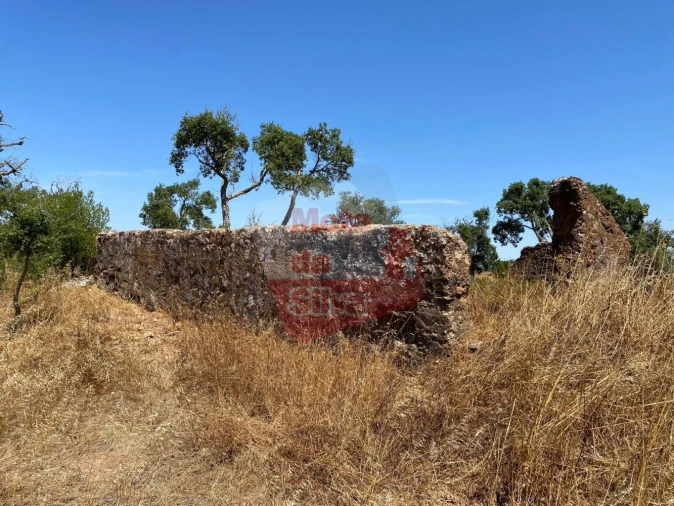 Quinta T0 para Venda em Abela Foto 4