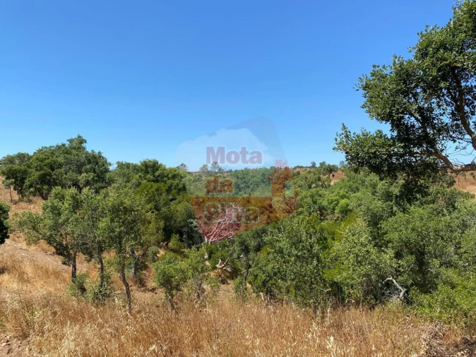 Quinta T0 para Venda em Abela Foto 9