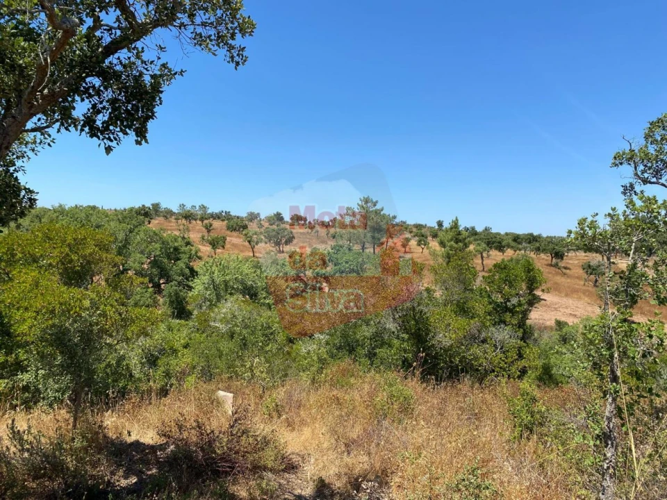 Quinta T0 para Venda em Abela Foto 10