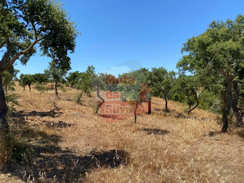 Quinta T0 para Venda em Abela Foto 14