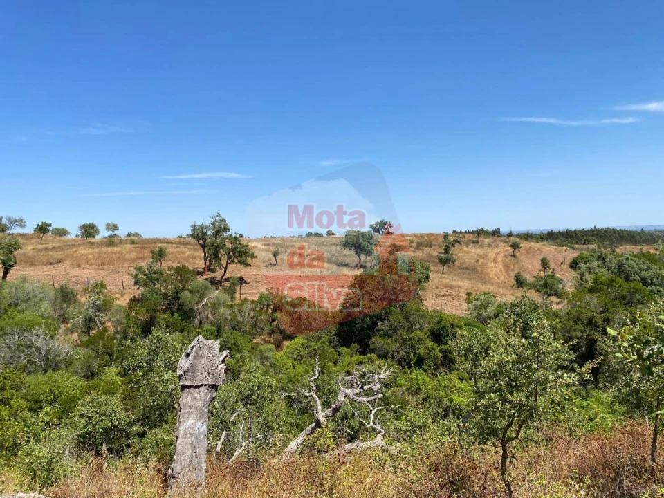 Quinta T0 para Venda em Abela Foto 8