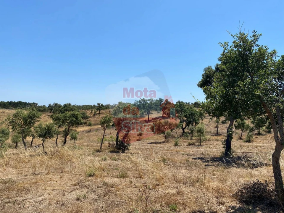 Quinta T0 para Venda em Abela Foto 18