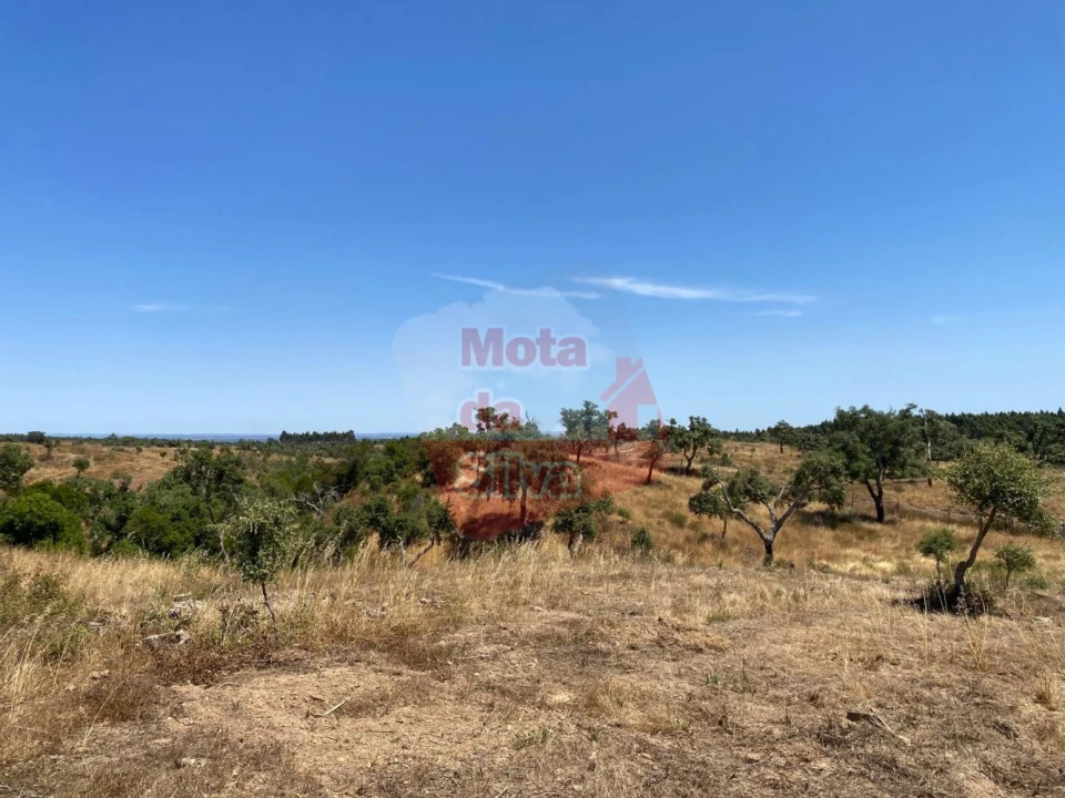 Quinta T0 para Venda em Abela Foto 16