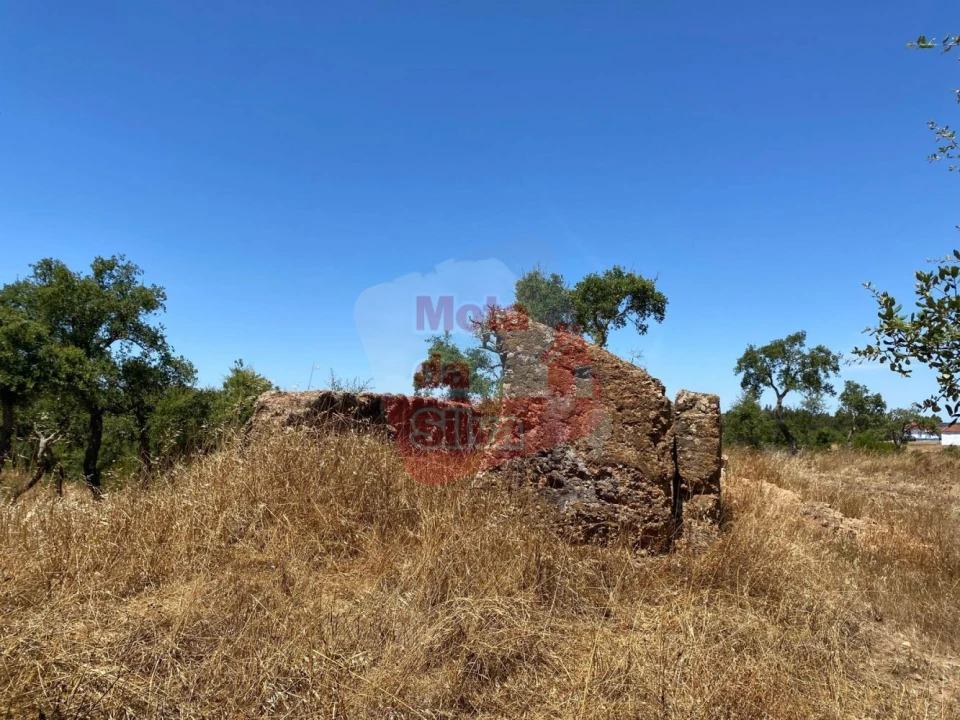 Quinta T0 para Venda em Abela Foto 5